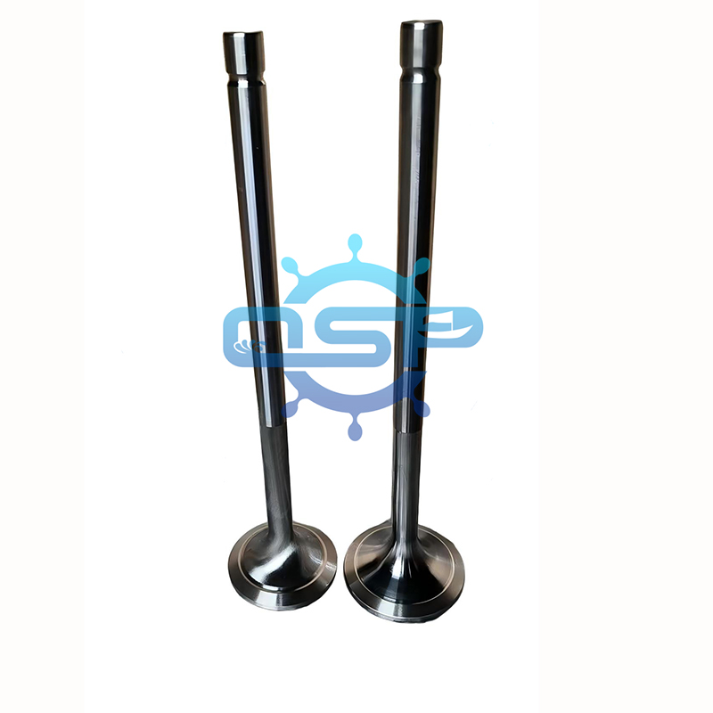 Intake  valve  A21200-201
