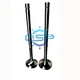 Intake  valve  A21200-201